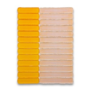 Maurice van Venrooij