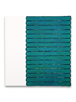 Maurice van Venrooij