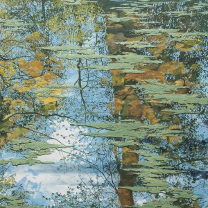 Untitled - C2020 C12