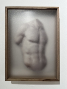 ReCollection Root I - 1/5