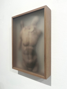 ReCollection Root V - 1/5