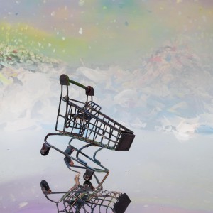 Aviothic, Future Poetry series editie 1/5