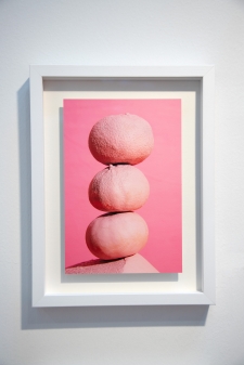 Pink Mandarines - 1/5