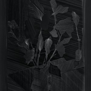 Monochrome Botany