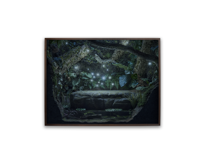 VIVARIUM Episode 12: Echo Down the Passage, Night (Half Size)