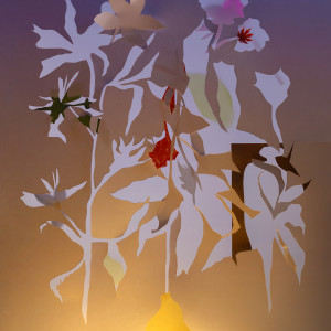 Between Seasons
